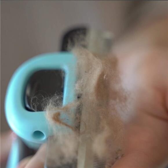 Cat Brush &Cat Comb for Shedding,Pet Deshedding Brush for Cat and Small Dog - Picture 2 of 6